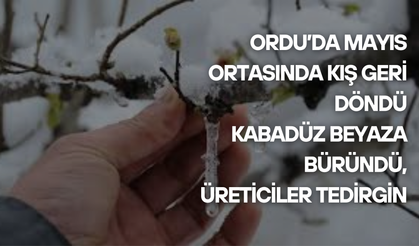Ordu’da Mayıs Ortasında Kış Geri Döndü: Kabadüz Beyaza Büründü, Üreticiler Tedirgin
