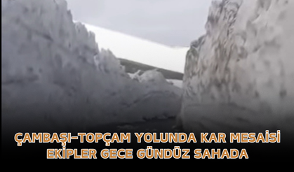Çambaşı–Topçam Yolunda Kar Mesaisi: Ekipler Gece Gündüz Sahada
