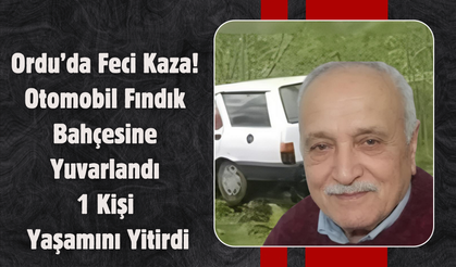 Ordu’da Feci Kaza: Otomobil Fındık Bahçesine Yuvarlandı, 1 Kişi Yaşamını Yitirdi