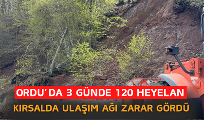 Ordu’da 3 Günde 120 Heyelan