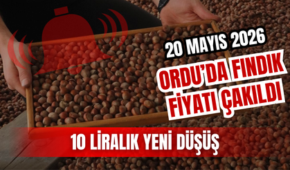 Ordu’da Fındık Fiyatı Çakıldı: 10 Liralık Yeni Düşüş