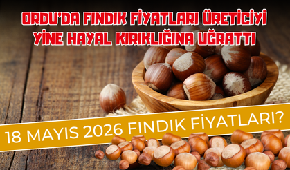 ORDU’DA FINDIK FİYATLARI ÜRETİCİYİ YİNE HAYAL KIRIKLIĞINA UĞRATTI