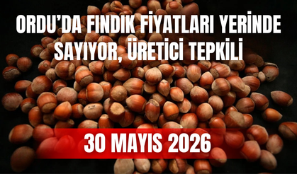 Ordu’da Fındık Fiyatları Yerinde Sayıyor, Üretici Tepkili