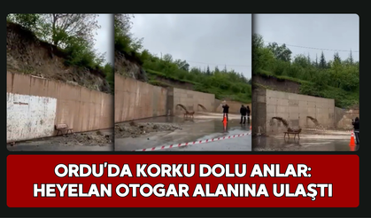 Ordu’da Korku Dolu Anlar: Heyelan Otogar Alanına Ulaştı