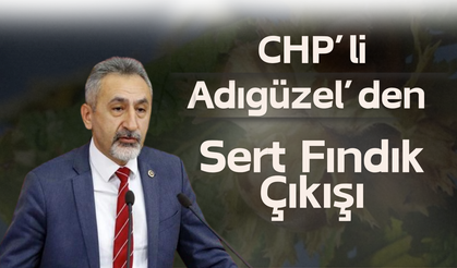 CHP’li Adıgüzel’den Sert Fındık Çıkışı