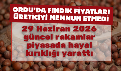 ORDU’DA FINDIK FİYATLARI ÜRETİCİYİ MEMNUN ETMEDİ