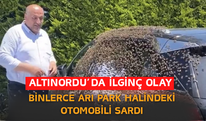 Altınordu’da İlginç Olay: Binlerce Arı Park Halindeki Otomobili Sardı