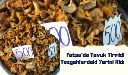 Fatsa’da Tavuk Tirmidi Tezgahlardaki Yerini Aldı