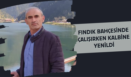 Fındık Bahçesinde Çalışırken Kalbine Yenildi