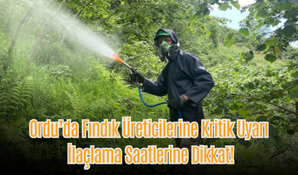 Ordu’da Fındık Üreticilerine Kritik Uyarı: İlaçlama Saatlerine Dikkat!