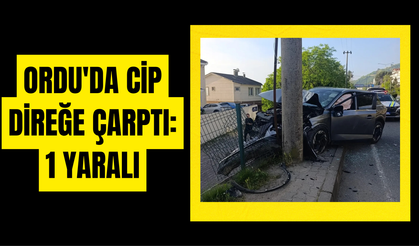 ORDU'DA CİP DİREĞE ÇARPTI: 1 YARALI