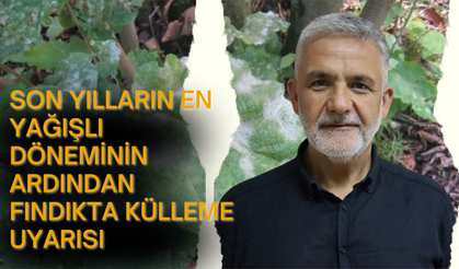 Son Yılların En Yağışlı Döneminin Ardından Fındıkta Külleme Uyarısı
