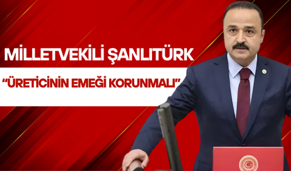 Şanlıtürk'ten TMO'ya Fındık Mesajı: “Üreticinin Emeği Korunmalı”