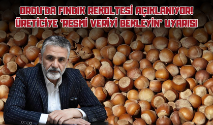 Ordu'da Fındık Rekoltesi Açıklanıyor! Üreticiye 'Resmi Veriyi Bekleyin' Uyarısı