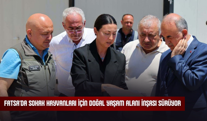 Fatsa'da Sokak Hayvanları İçin Doğal Yaşam Alanı İnşası Sürüyor