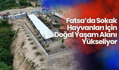 Fatsa’da Sokak Hayvanları İçin Doğal Yaşam Alanı Yükseliyor