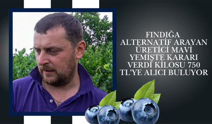 Fındığa Alternatif Arayan Üretici Mavi Yemişte Kararı Verdi: Kilosu 750 TL'ye Alıcı Buluyor
