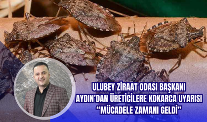 Ulubey Ziraat Odası Başkanı Aydın’dan Üreticilere Kokarca Uyarısı: “Mücadele Zamanı Geldi”
