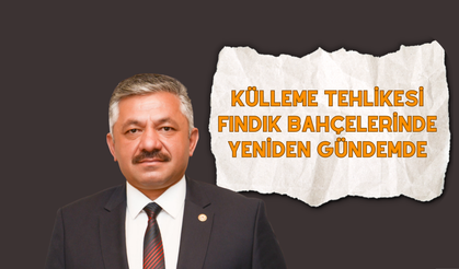 Külleme Tehlikesi Fındık Bahçelerinde Yeniden Gündemde