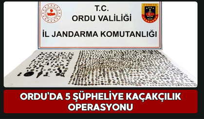 Ordu'da 5 Şüpheliye Kaçakçılık Operasyonu