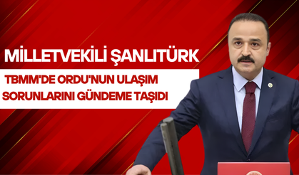 Şanlıtürk TBMM'de Ordu'nun Ulaşım Sorunlarını Gündeme Taşıdı
