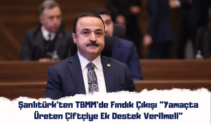 Şanlıtürk'ten TBMM'de Fındık Çıkışı: "Yamaçta Üreten Çiftçiye Ek Destek Verilmeli"