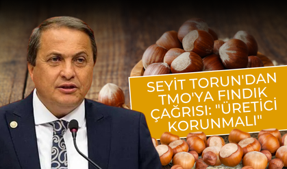 Seyit Torun'dan TMO'ya Fındık Çağrısı: "Üretici Korunmalı"