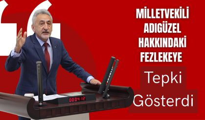 Milletvekili Adıgüzel Hakkındaki Fezlekeye Tepki Gösterdi