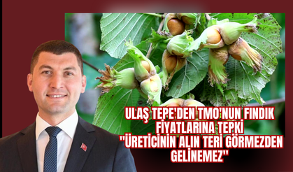 ULAŞ TEPE'DEN TMO'NUN FINDIK FİYATLARINA TEPKİ: "ÜRETİCİNİN ALIN TERİ GÖRMEZDEN GELİNEMEZ"