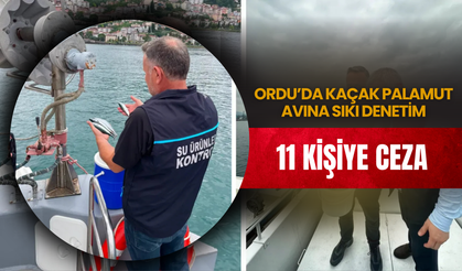 Ordu’da Kaçak Palamut Avına Sıkı Denetim: 11 Kişiye Ceza