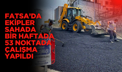 Fatsa’da Ekipler Sahada: Bir Haftada 53 Noktada Çalışma Yapıldı