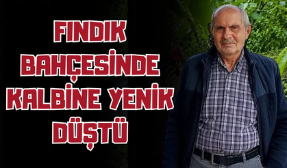 Fındık Bahçesinde Kalbine Yenik Düştü