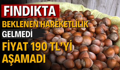 Fındıkta Beklenen Hareketlilik Gelmedi: Fiyat 190 TL’yi Aşamadı