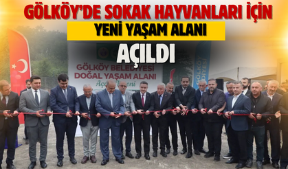 Gölköy’de Sokak Hayvanları İçin Yeni Yaşam Alanı Açıldı