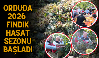 Ordu’da 2026 Fındık Hasat Sezonu Başladı