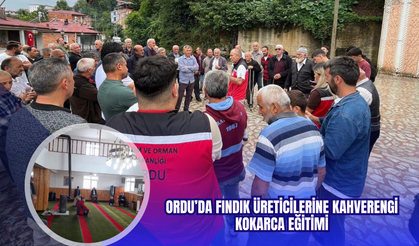 Ordu’da Fındık Üreticilerine Kahverengi Kokarca Eğitimi