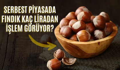 Serbest Piyasada Fındık Kaç Liradan İşlem Görüyor?