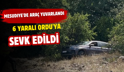 MESUDIYE'DE ARAÇ YUVARLANDI: 6 YARALI ORDU'YA SEVK EDİLDİ