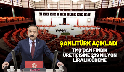 Şanlıtürk Açıkladı: TMO’dan Fındık Üreticisine 239 Milyon Liralık Ödeme