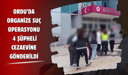 Ordu’da Organize Suç Operasyonu: 4 Şüpheli Cezaevine Gönderildi