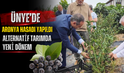 Ünye’de Aronya Hasadı Yapıldı: Alternatif Tarımda Yeni Dönem