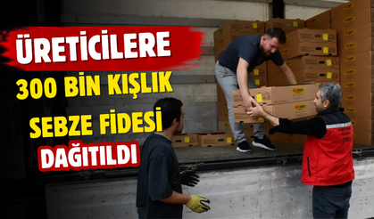 Üreticilere 300 Bin Kışlık Sebze Fidesi Dağıtıldı