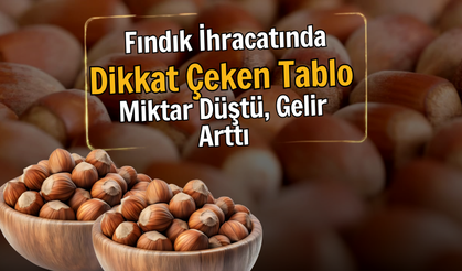 Fındık İhracatında Dikkat Çeken Tablo: Miktar Düştü, Gelir Arttı