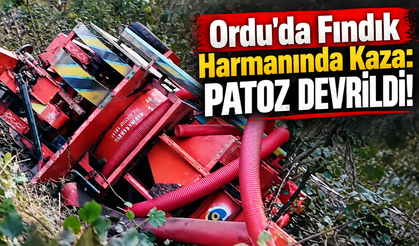 Ordu’da Fındık Patozu Devrildi!