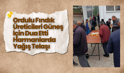 Ordulu Fındık Üreticileri Güneş İçin Dua Etti: Harmanlarda Yağış Telaşı