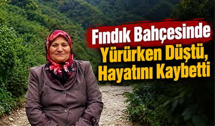 Fındık Bahçesinde Yürürken Düştü, Hayatını Kaybetti
