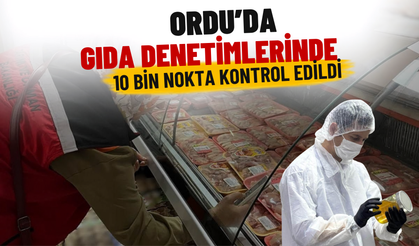 Ordu’da Gıda Denetimlerinde 10 Bin Nokta Kontrol Edildi