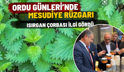 Ordu Günleri’nde Mesudiye Rüzgarı: Isırgan Çorbası İlgi Gördü