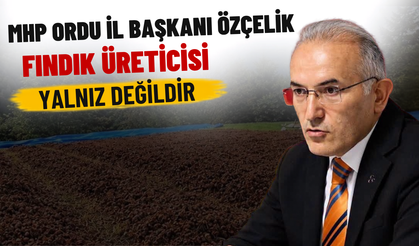 MHP Ordu İl Başkanı Özçelik: Fındık Üreticisi Yalnız Değildir