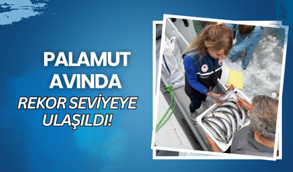 Palamut Avında Rekor Seviyeye Ulaşıldı!
